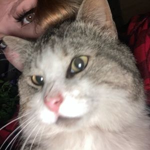 Meet your Posher, Max